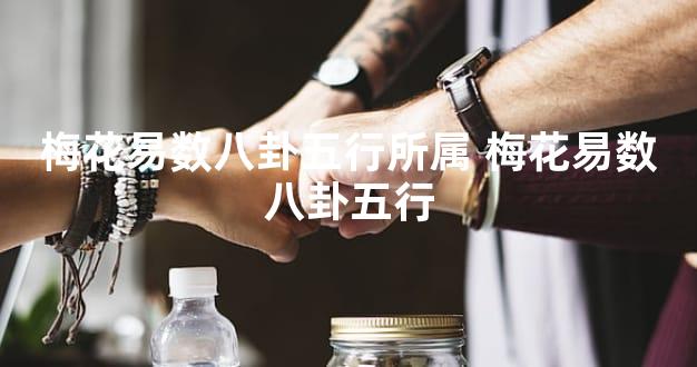 梅花易数八卦五行所属 梅花易数八卦五行